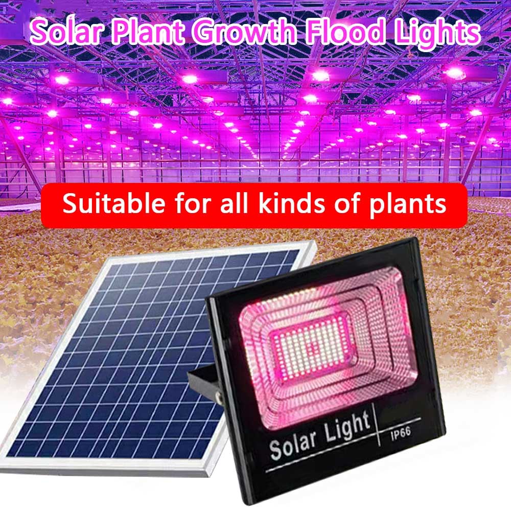 Solar LED Grow Light Full Spec - đánh giá và giá Outdoor Power And Plant