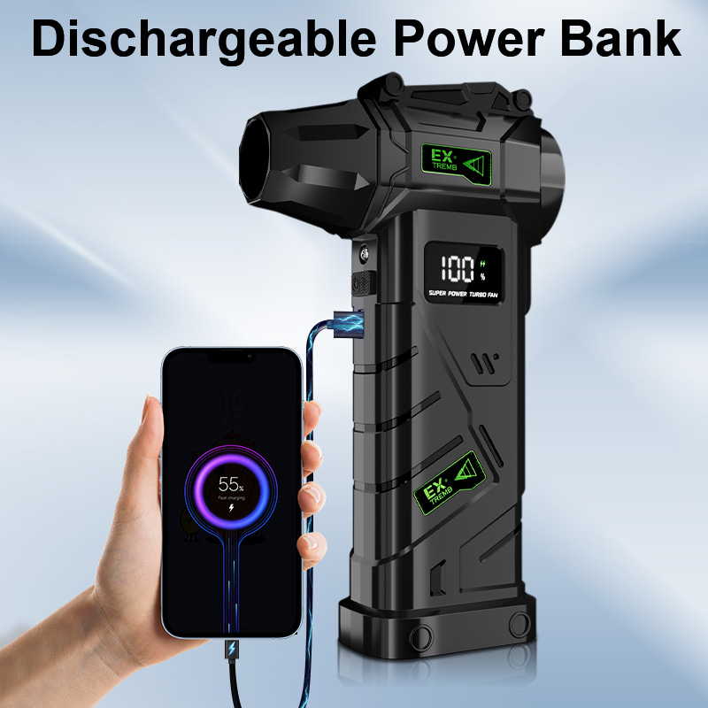 2-in-1 Blow & Vacuum Cordless  - đánh giá và giá Outdoor Power Vacuum