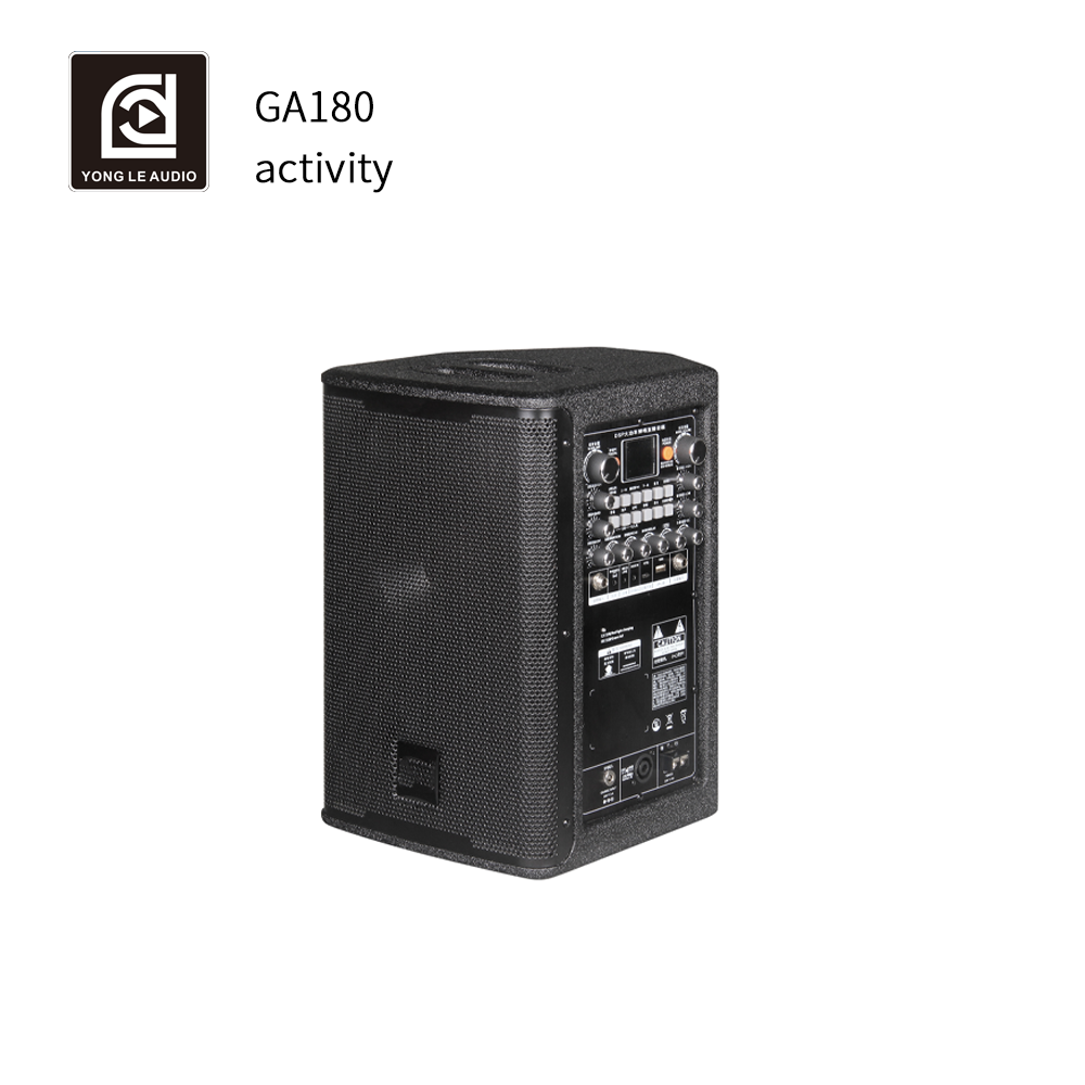 Professional 2-Way Stage Outdo - đánh giá và giá Outdoor Power Module